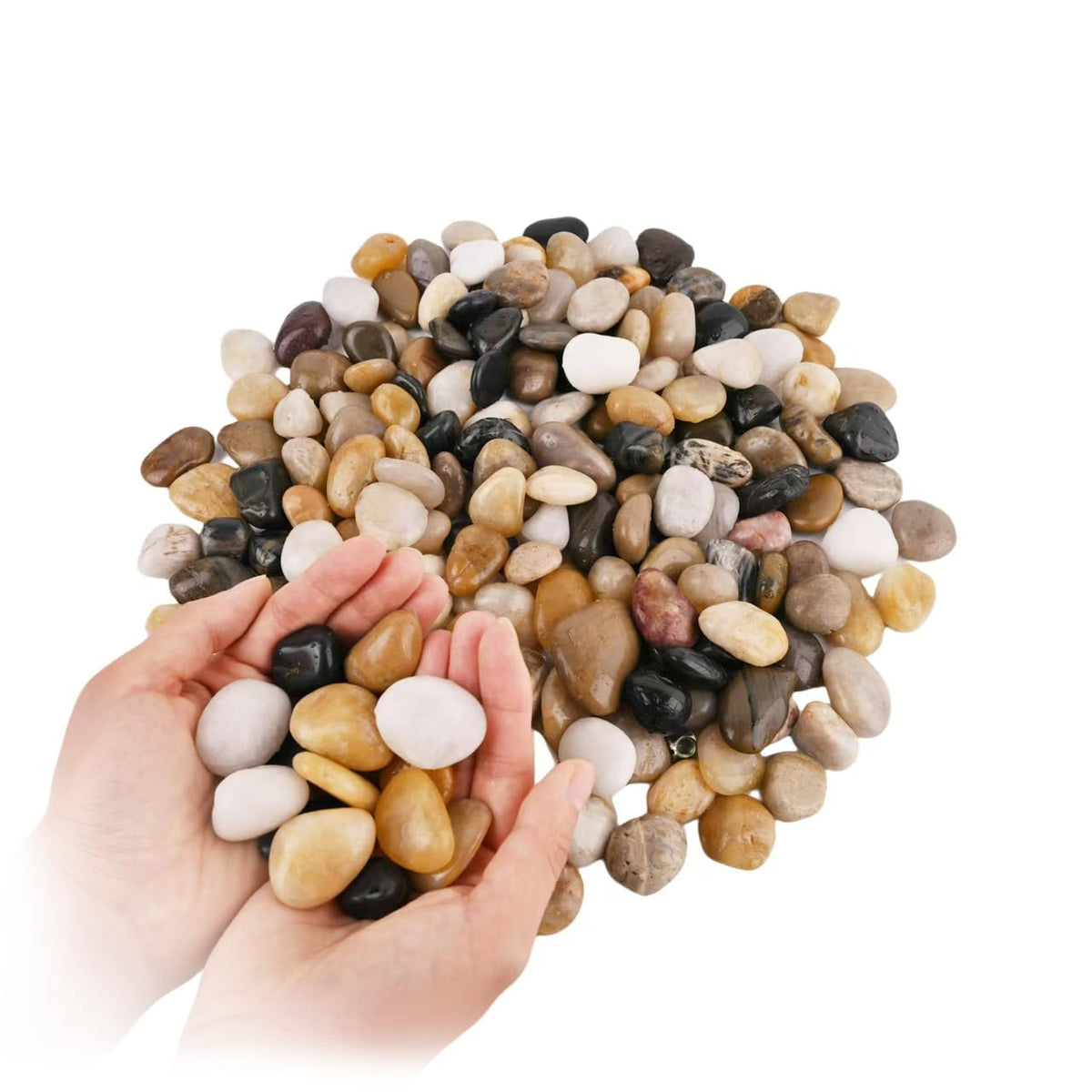 WHANLEY L&Q natural river rocks glossy 1-2 inch pebbles for stylish indoor décor