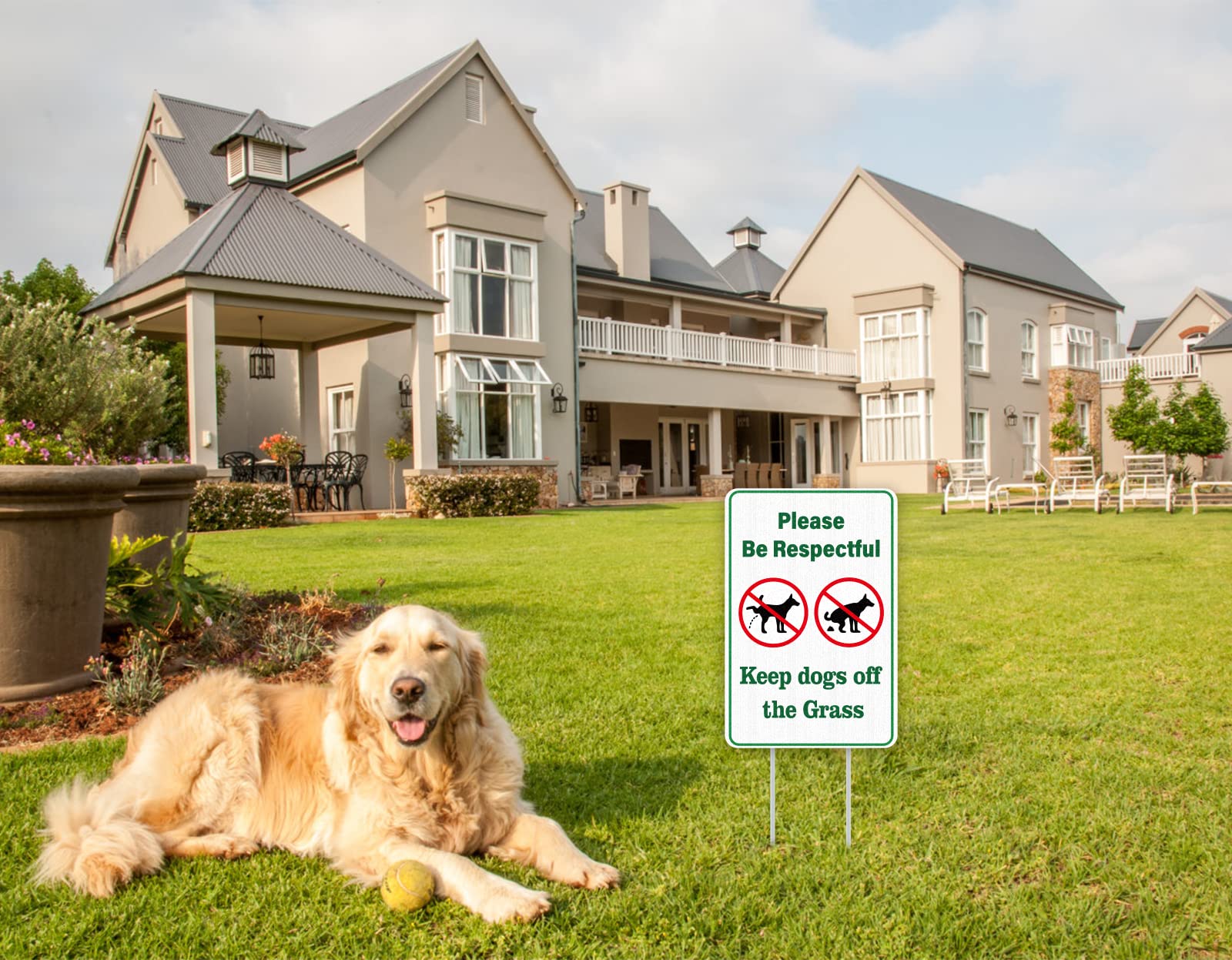 WhatSign No Poop and Pee Sign makes a thoughtful gift for dog owners.