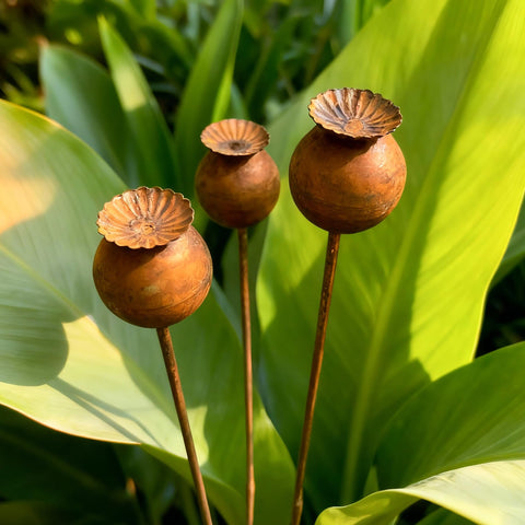 WHBIMGOOO metal flowers outside 3pc stake set adds timeless garden charm.
