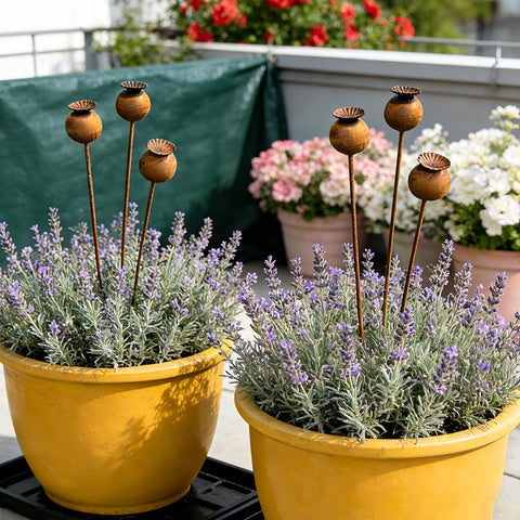 WHBIMGOOO season-ready décor complements winter and spring exteriors.