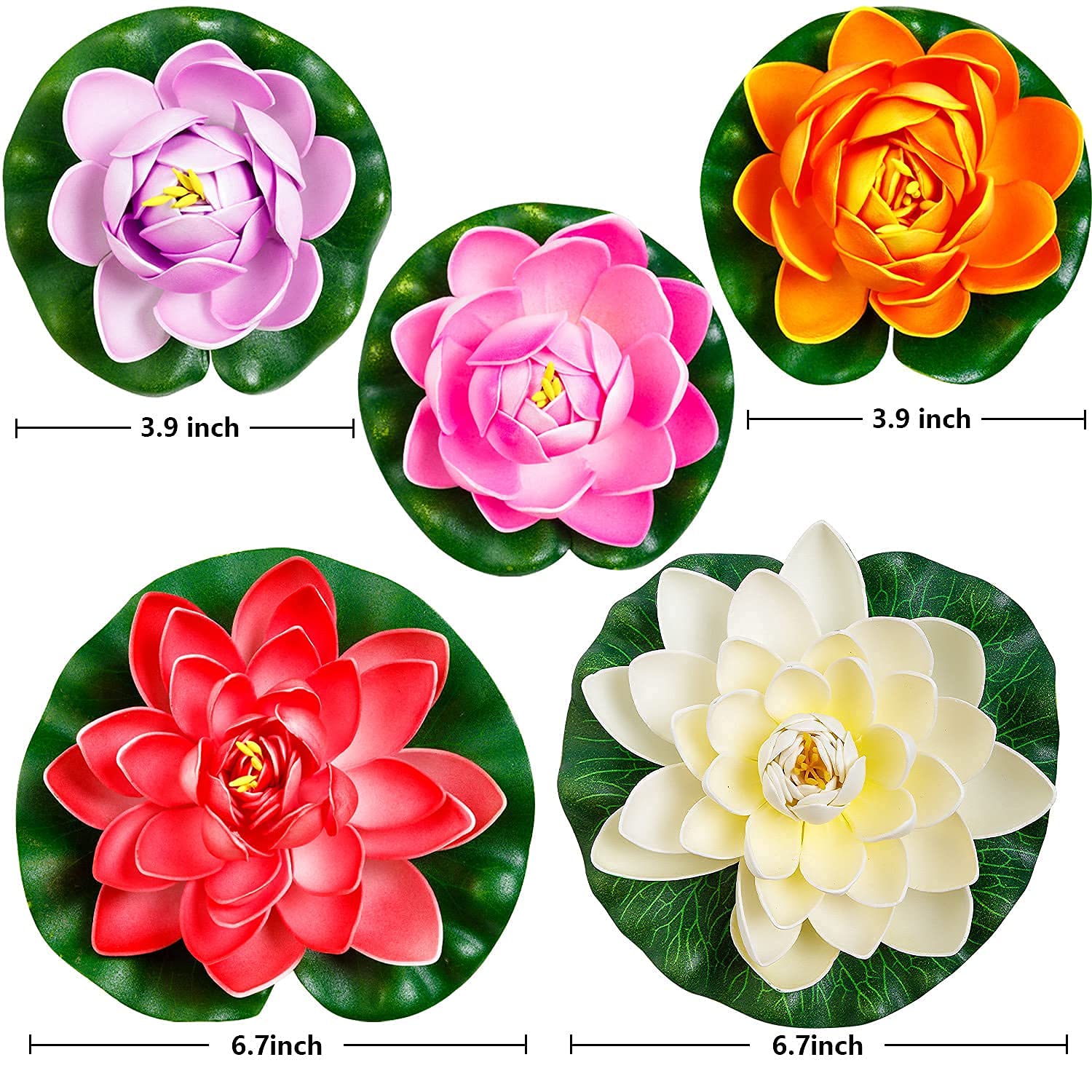WhistenFla lotus flowers in five colors brighten ponds and wedding decor
