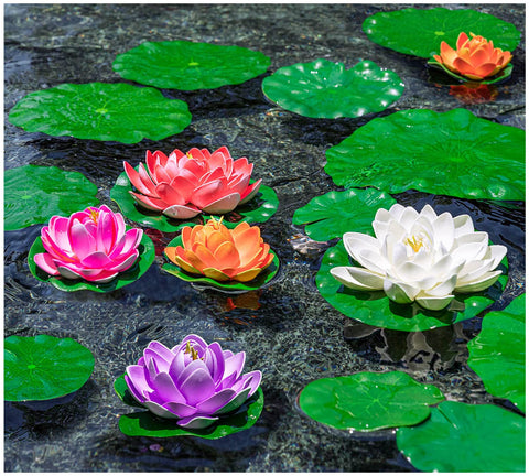 WhistenFla 6in pads resting on water enhancing pond ambiance