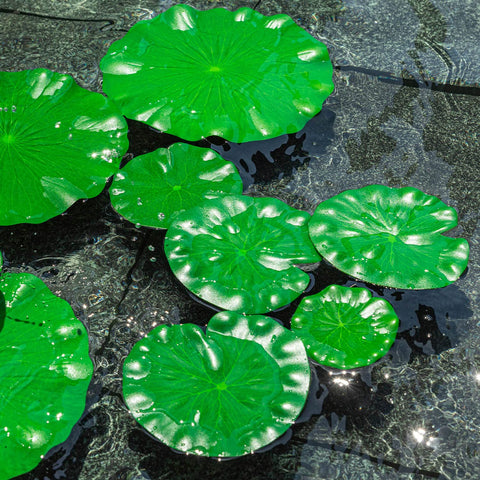 WhistenFla lily pad suitable for aquarium decoration and koi viewing