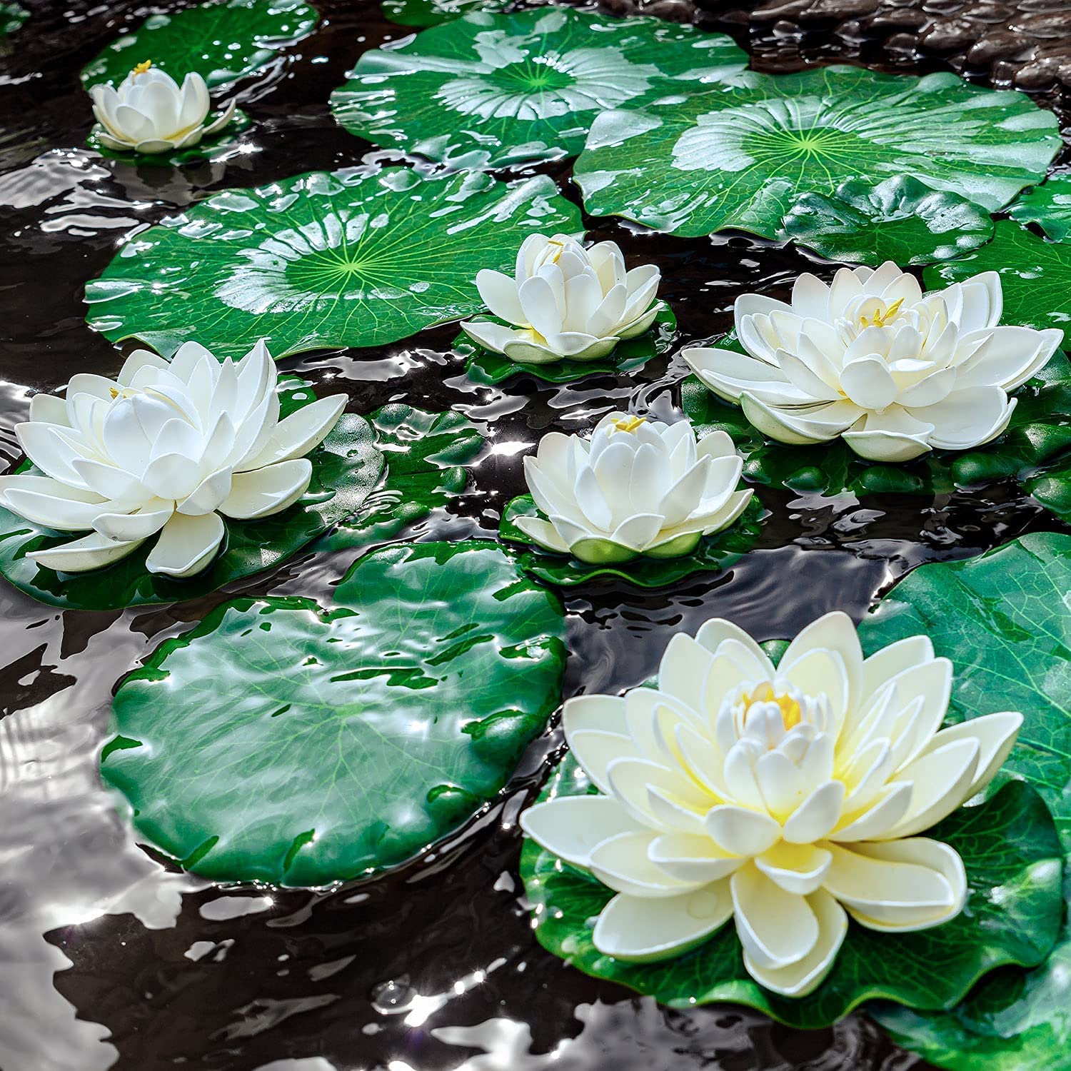 WhistenFla garden pond display with assorted lily pads