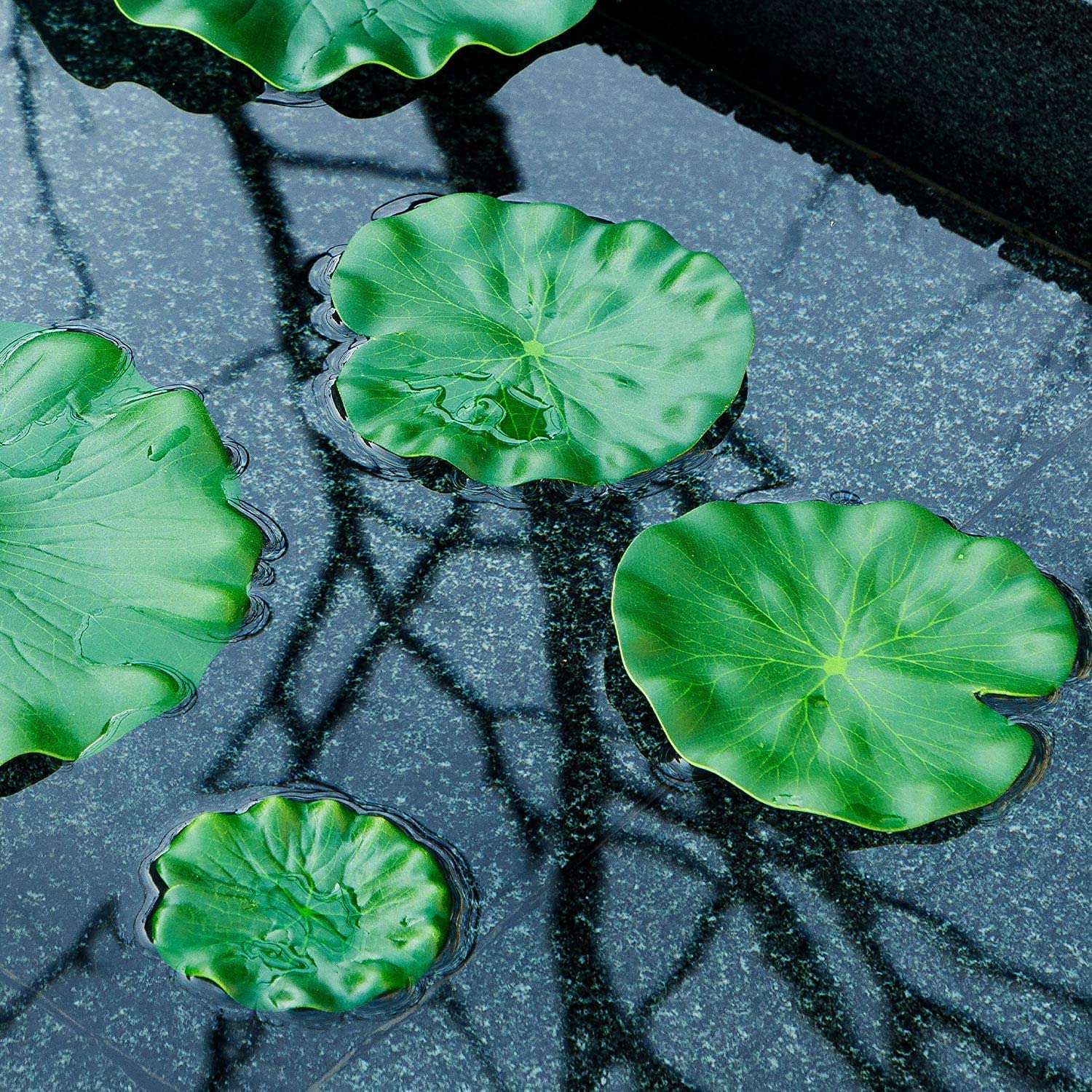 WhistenFla packaging includes six lily pads ready to float