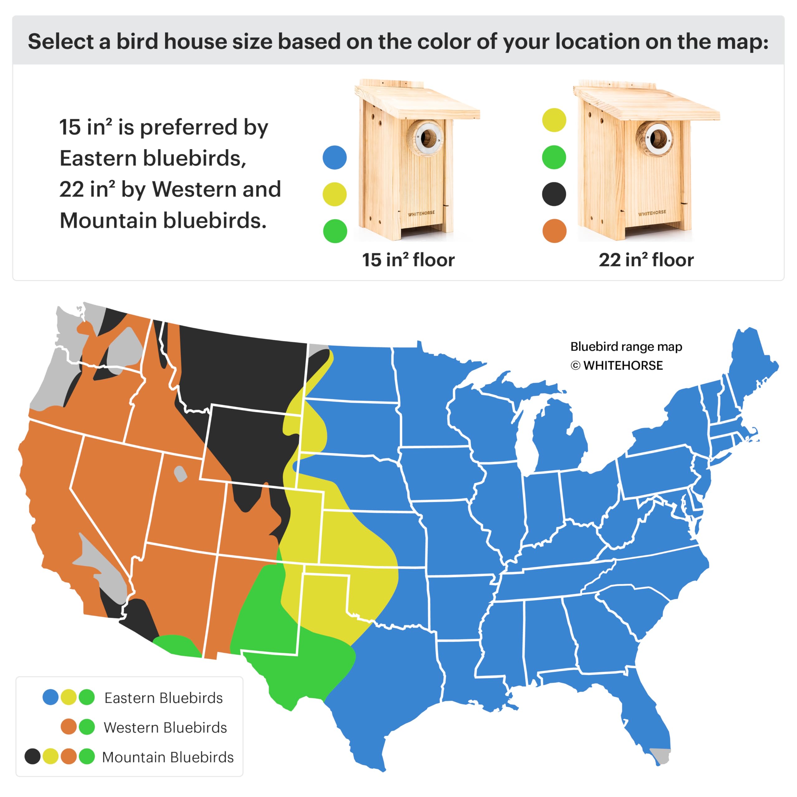 WHITEHORSE Bird House with Camera easy-install design for quick setup