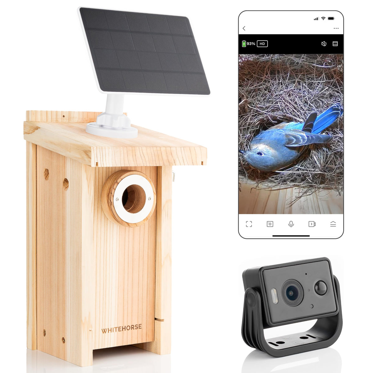 WHITEHORSE Bird House with Camera front view shows easy access and camera placement