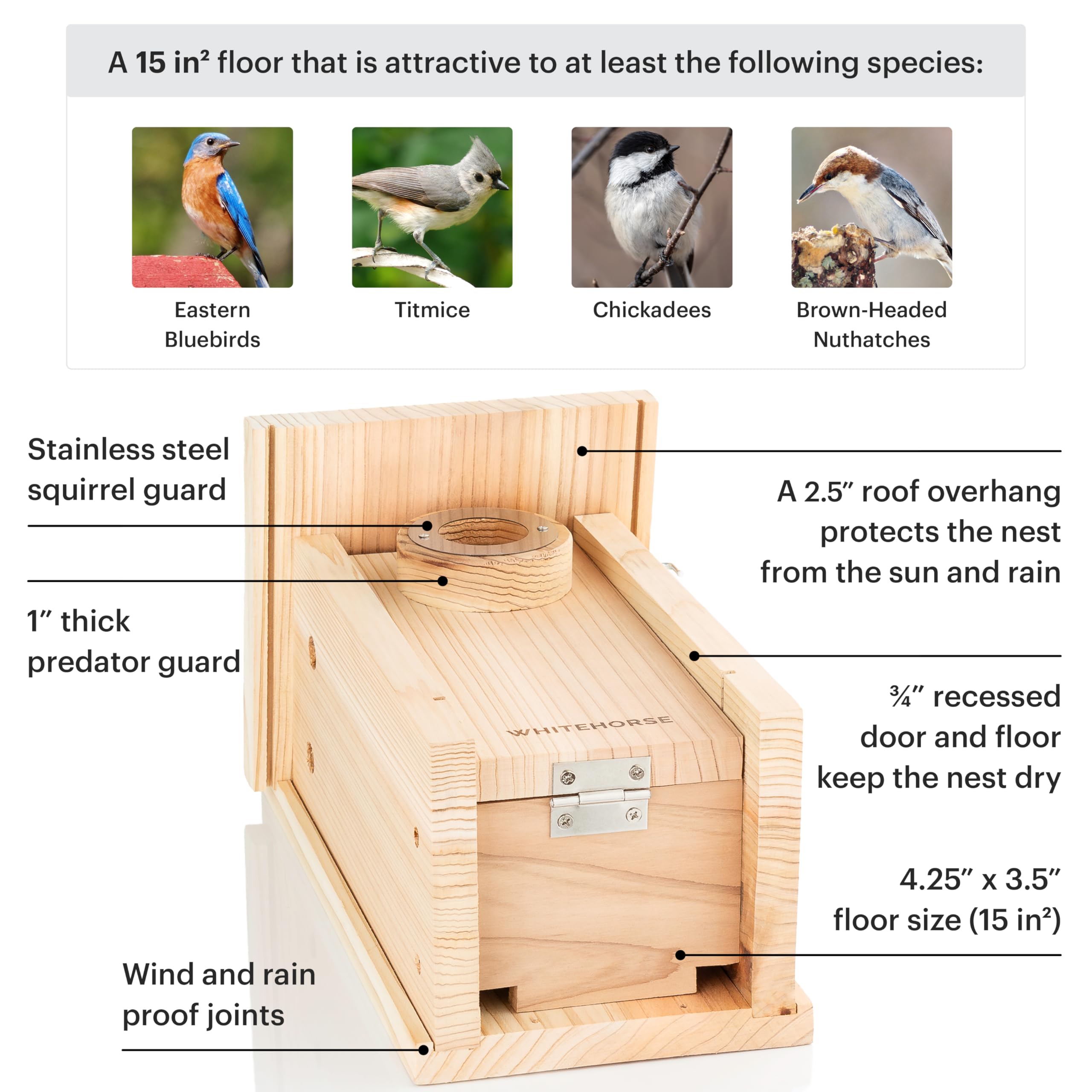 WHITEHORSE Bird House with Camera weatherproof cedar housing with protective guards