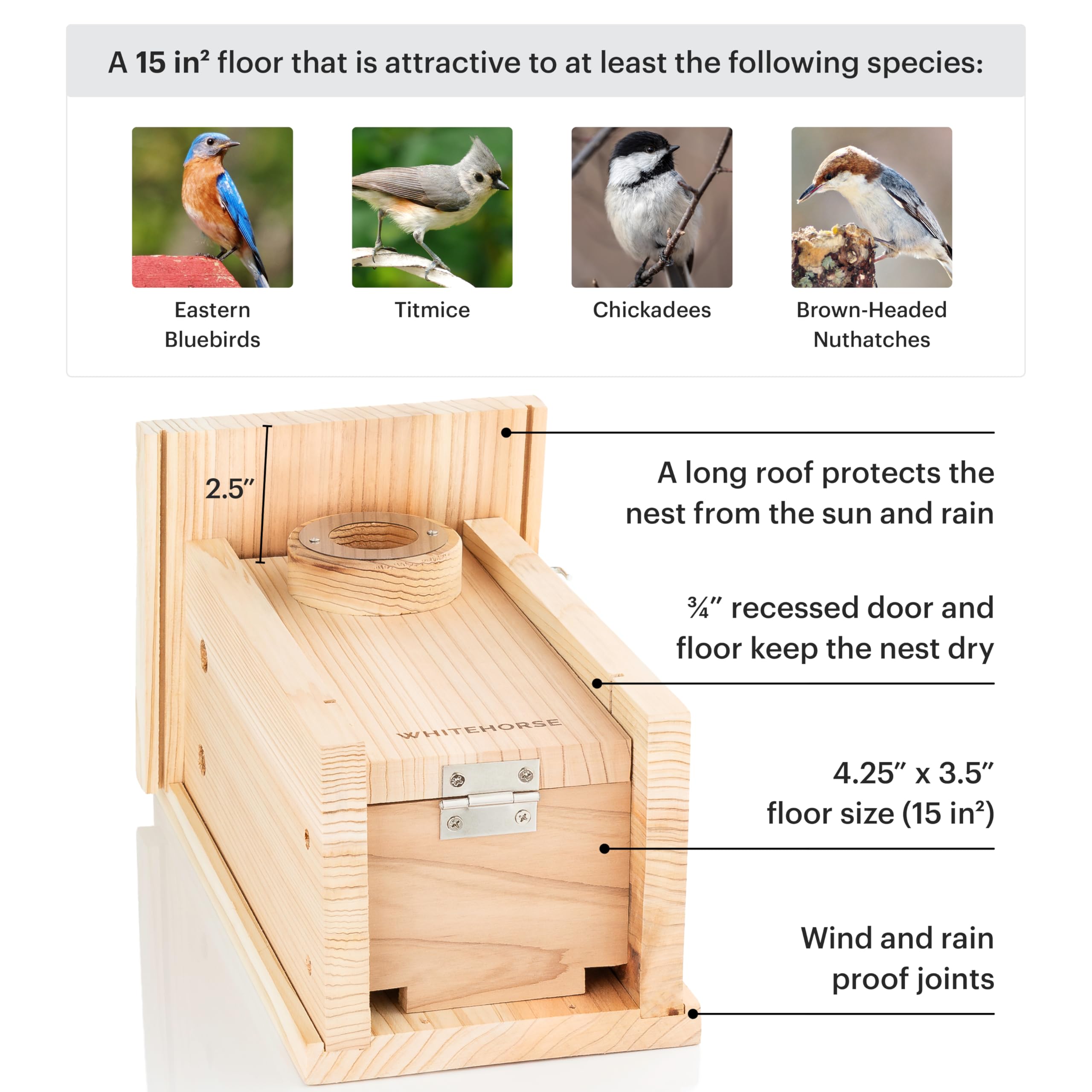 WHITEHORSE Bluebird House bottom hinged door for easy nest box cleaning.
