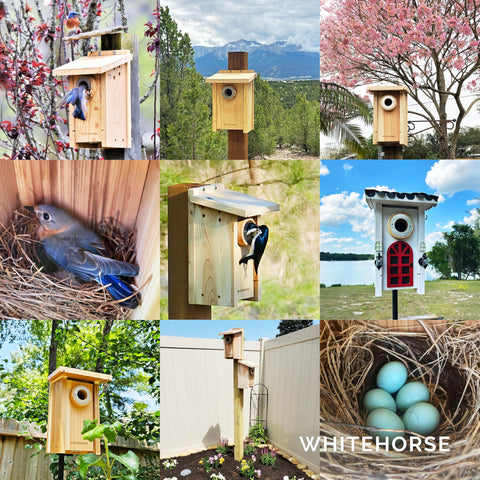 WHITEHORSE Bluebird House cedar body highlights natural insulation and longevity.