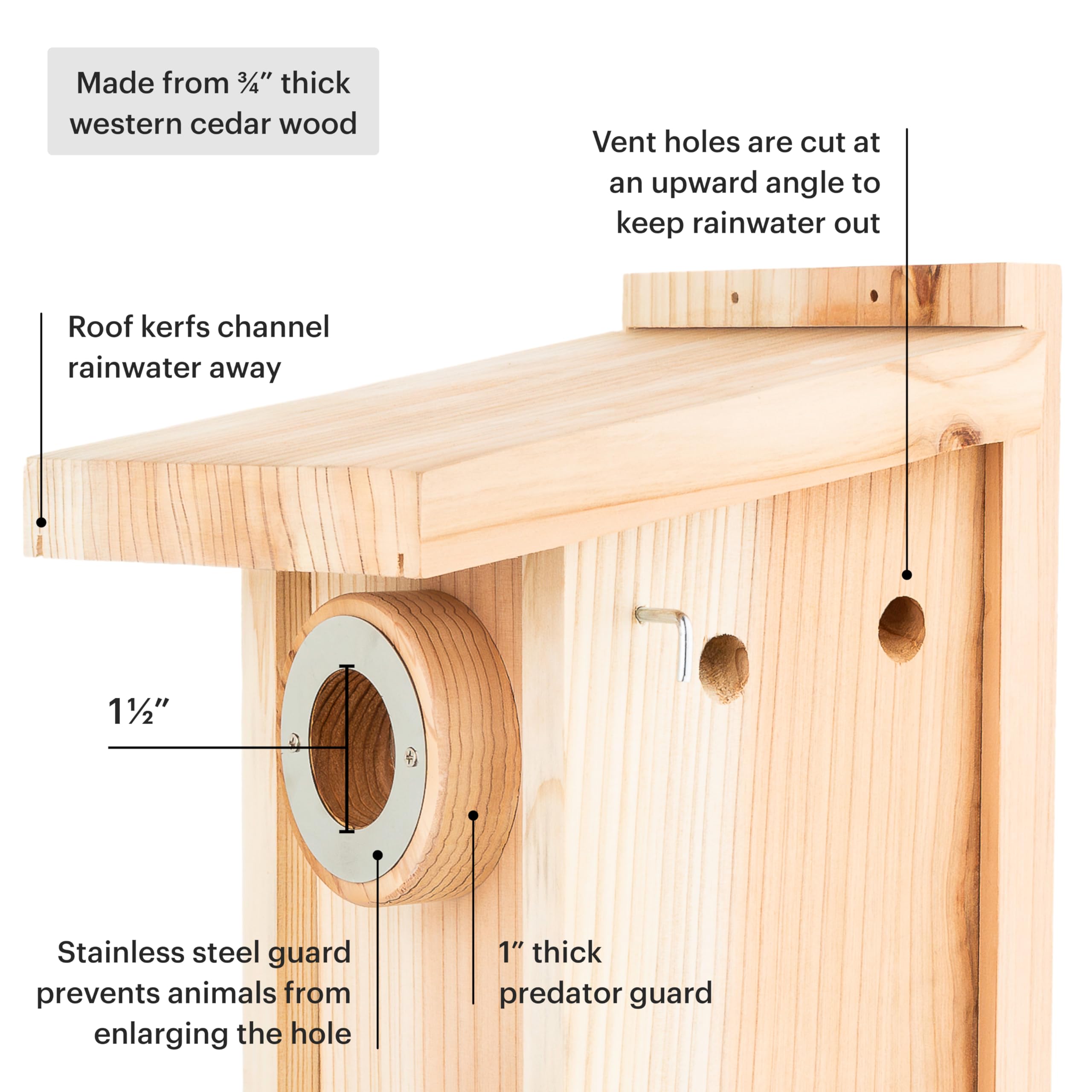 WHITEHORSE Bluebird House entry hole with squirrel guard for safety.