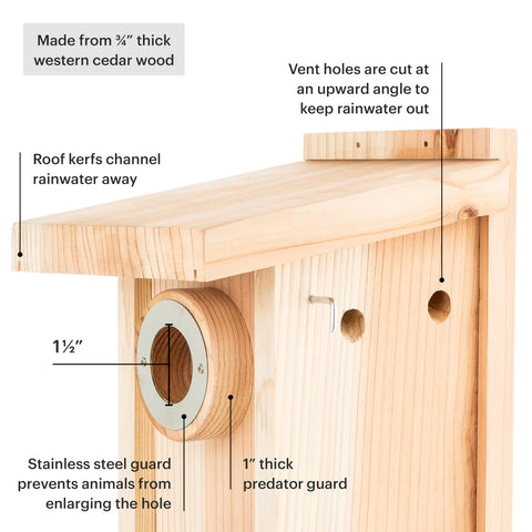 WHITEHORSE Bluebird House entry hole with squirrel guard for safety.
