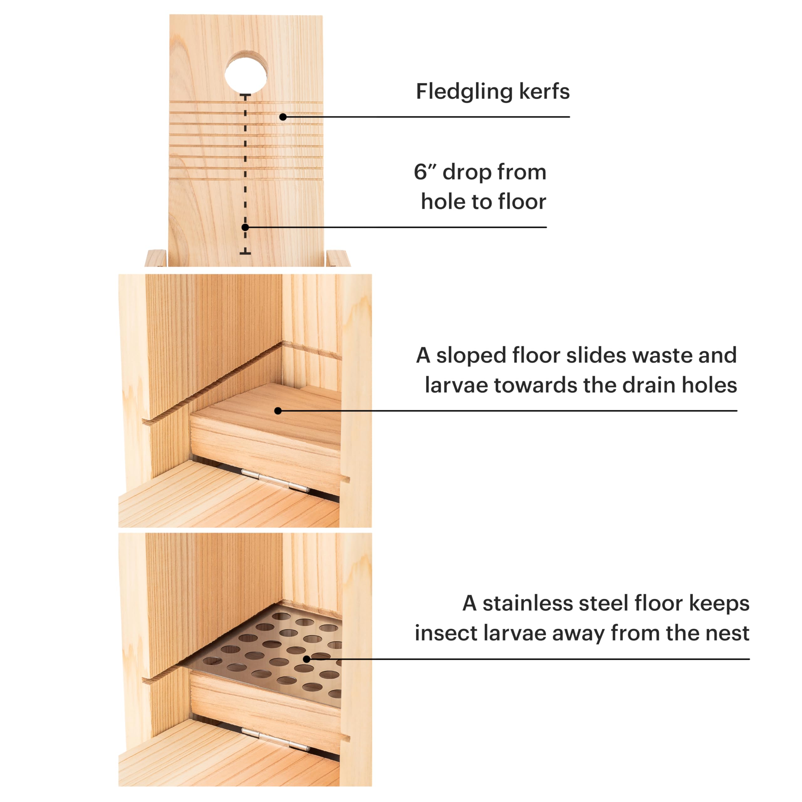 WHITEHORSE Bluebird House nest floor size supports bluebirds and small birds.