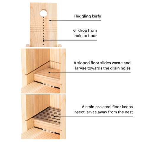 WHITEHORSE Bluebird House nest floor size supports bluebirds and small birds.