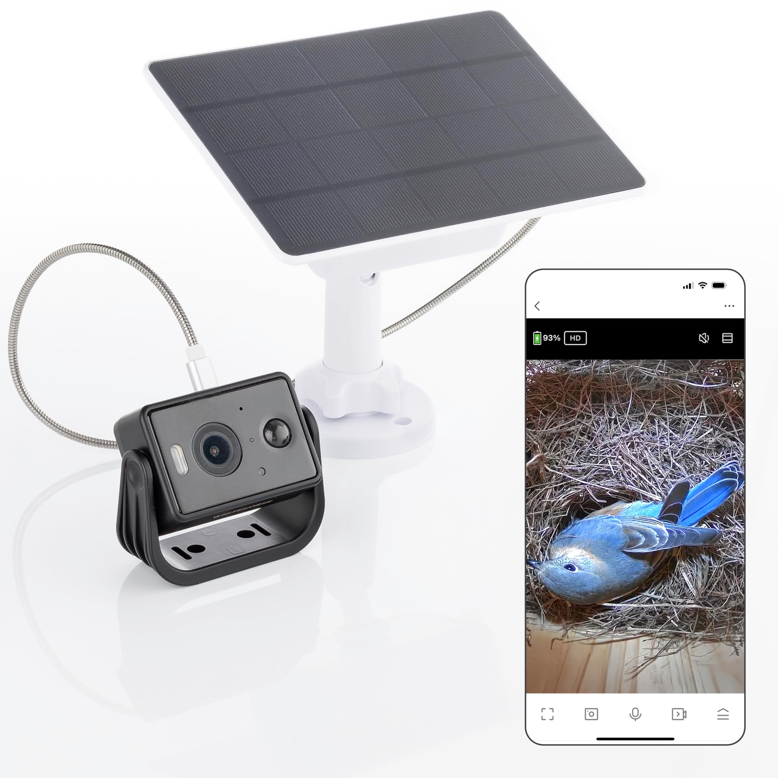 WHITEHORSE camera bird house front view highlights compact placement for discreet use