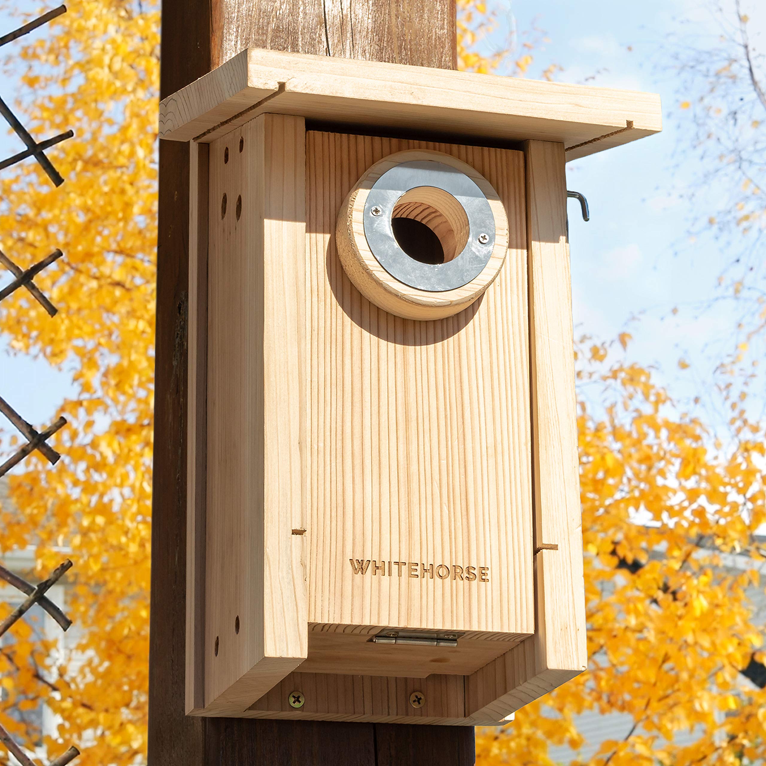 WHITEHORSE free guide helps maintain bird houses and attract bluebirds.