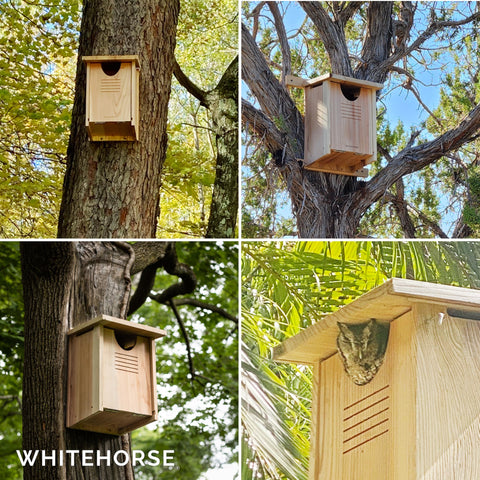 WHITEHORSE Owl box entry hole design keeps nest dry and secure.