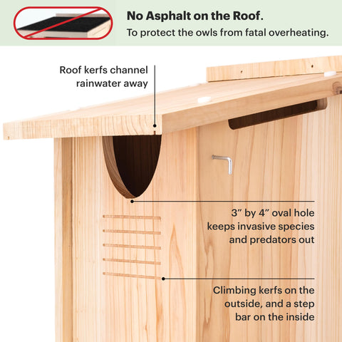 WHITEHORSE Cedar owl house roof overhang shields against rain and predators.