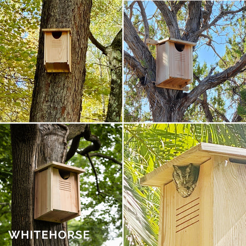 WHITEHORSE Owl House solar-powered design supports continuous monitoring with outdoor sunlight.
