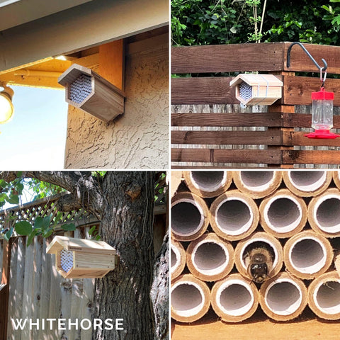 WHITEHORSE cedar bee house showing front replaceable tubes for nesting.