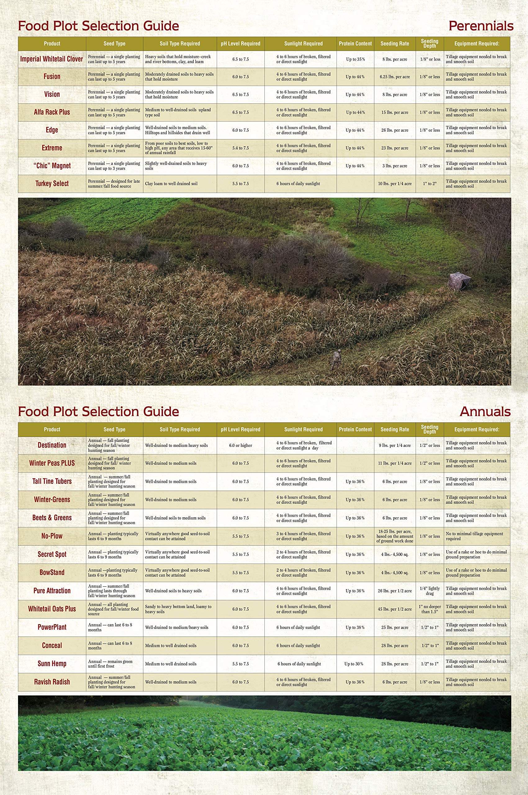 Whitetail Institute PowerPlant deer plot provides forage while offering bedding options.