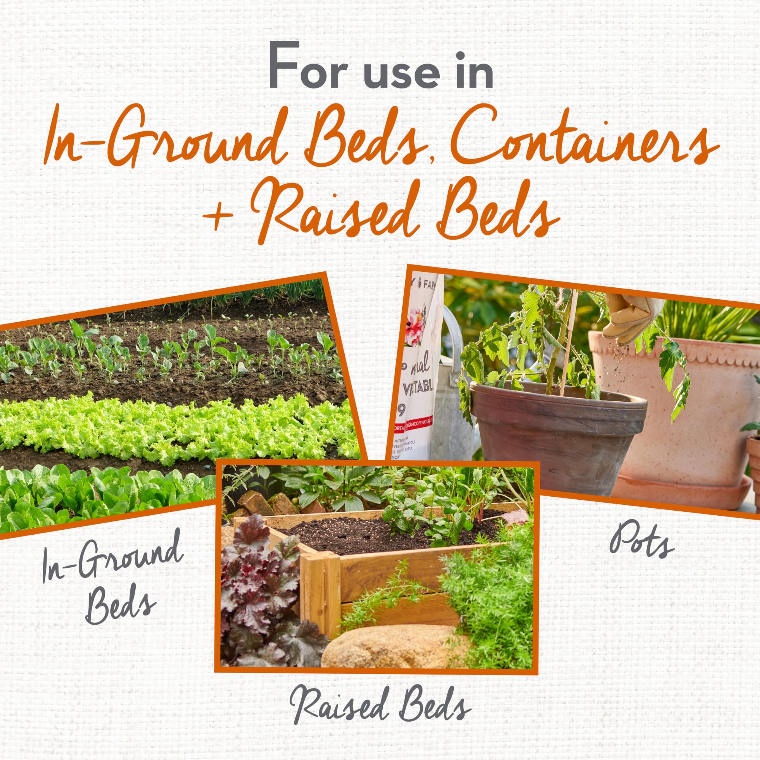 Blood Meal soil amendment nourishes roots for healthy plant development