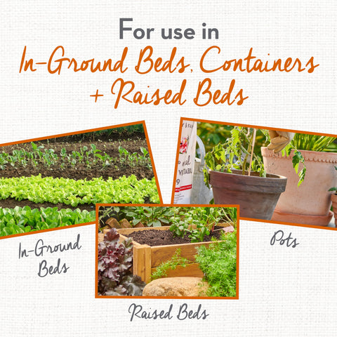 Blood Meal soil amendment nourishes roots for healthy plant development