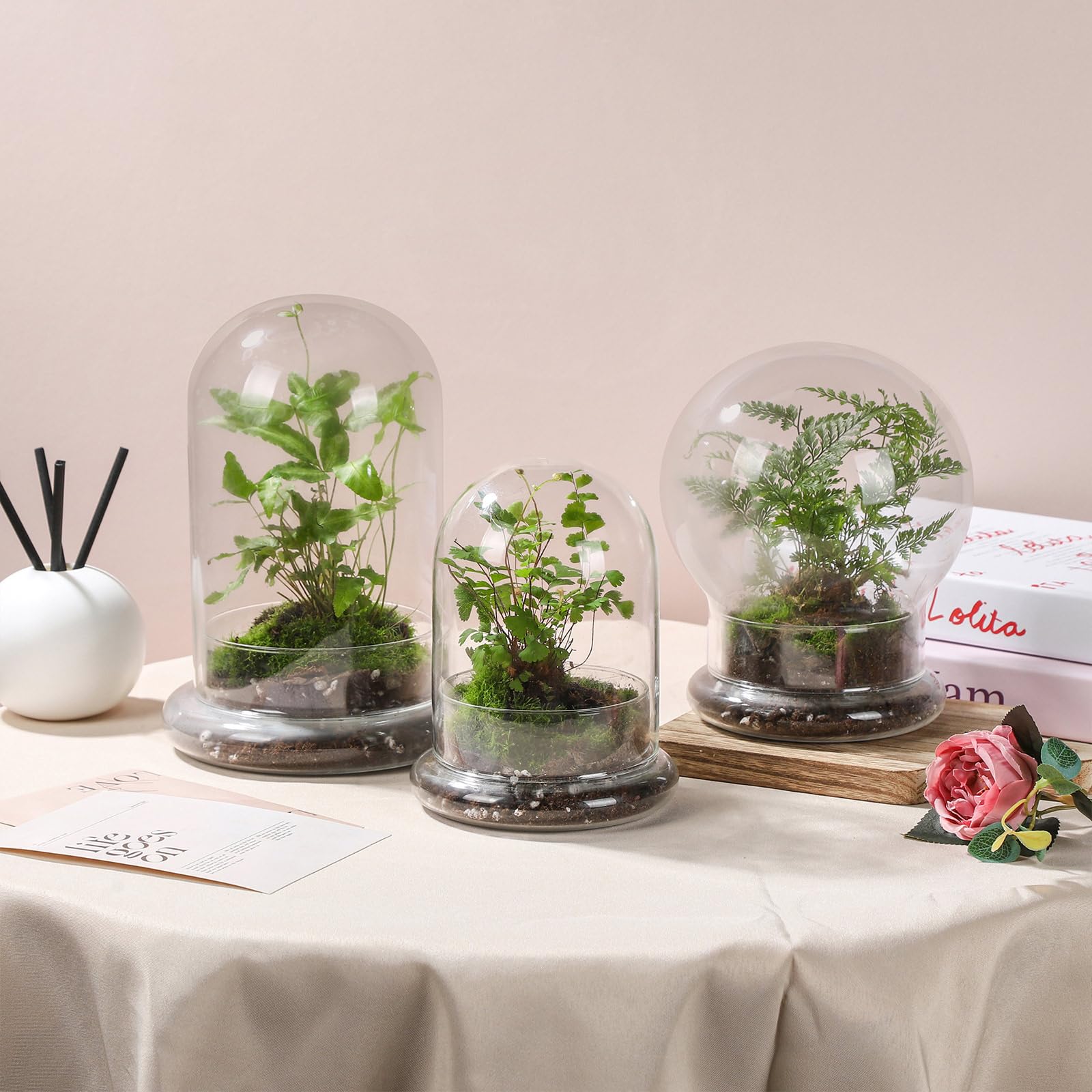WHJY small cloche creates a focal point for mini landscapes and decorative items.