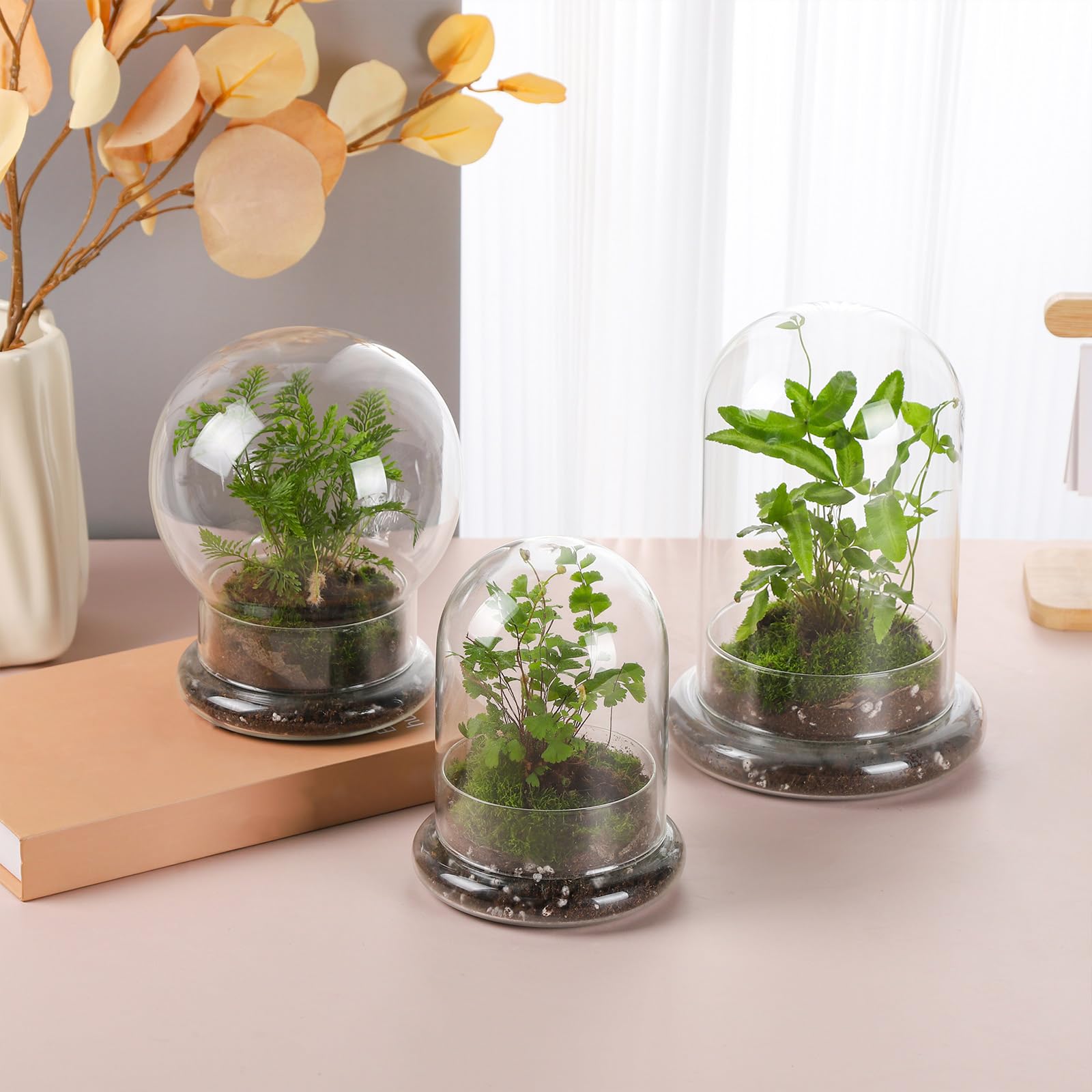 WHJY crystal-clear cloche keeps humidity-friendly micro habitats accessible for tiny plants.