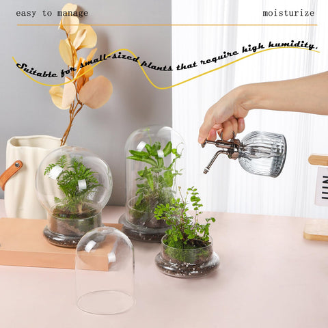 WHJY glass dome with base suits shelves and tabletops for stylish plant displays.