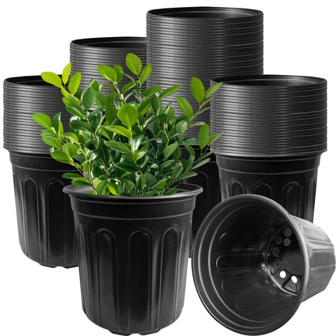 Whkvnng 60-pack 1-gallon nursery pot bottom holes promote root airflow for healthy seedlings.
