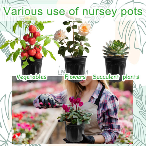 Whkvnng 60-pack garden setup with pots illustrates versatile use for succulents and herbs.