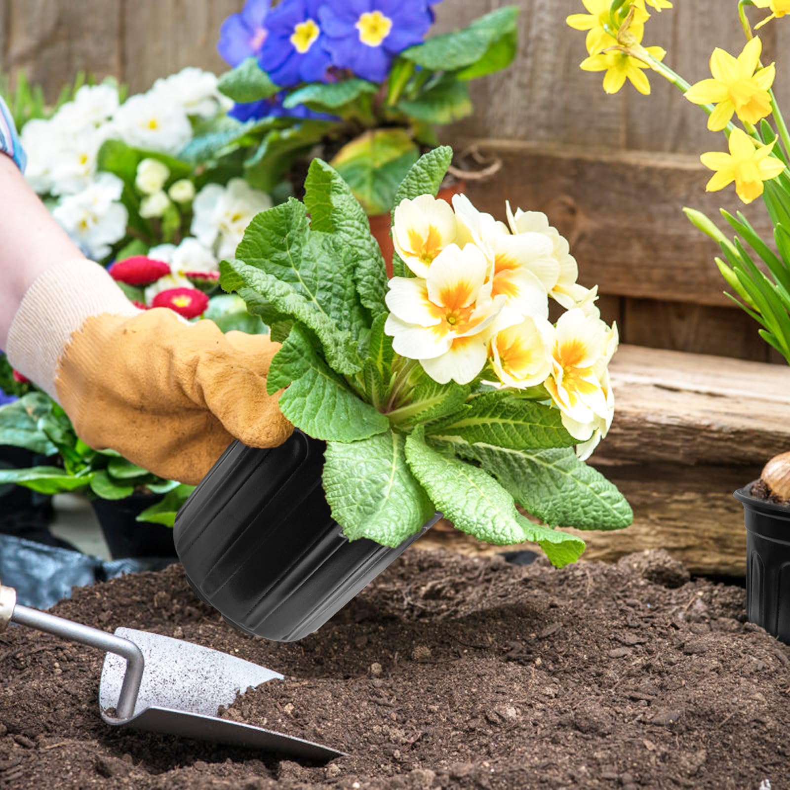 Whkvnng 60-pack plant pot for transplantation supports easy re-potting and plant care.