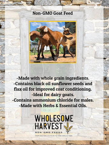 Wholesome Harvest probiotics fortification supports healthy digestion in goats.