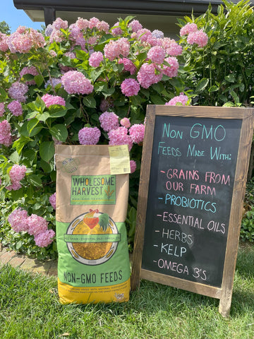 Wholesome Harvest roasted soybeans in the feed mix for energy and digestibility.