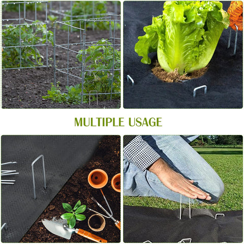 Whonline stake securing a soaker hose in garden