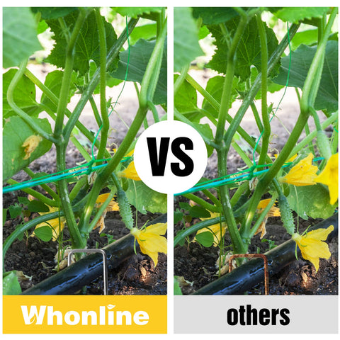 Whonline stakes securing weed barrier and tarpaulin outdoors
