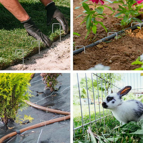 Whonline heavy-duty stakes keep irrigation tubing in place.