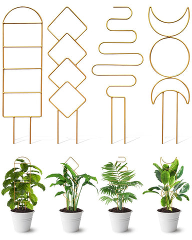 Whtawtaw 4-pack indoor climbing trellis with four patterns for small potted plants