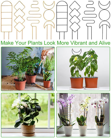 Whtawtaw ivy, peas, and greenery supported by this trellis set
