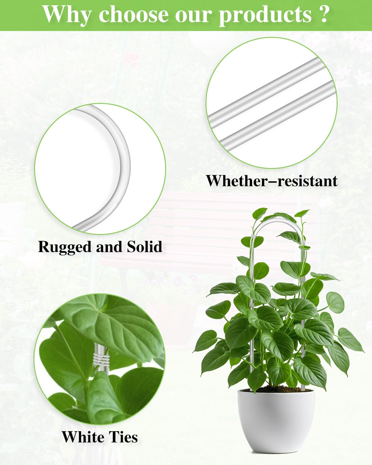 Whtawtaw trellis for Monstera and ivy adds structure without overpowering foliage
