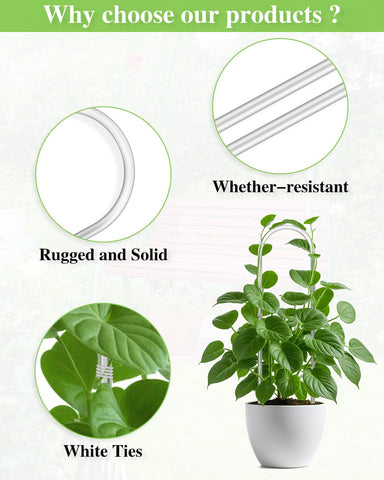 Whtawtaw trellis for Monstera and ivy adds structure without overpowering foliage