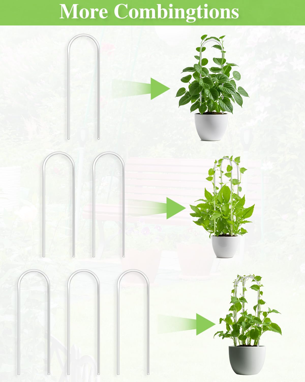 Whtawtaw clear acrylic trellis enhances Hoya growth for potted plants