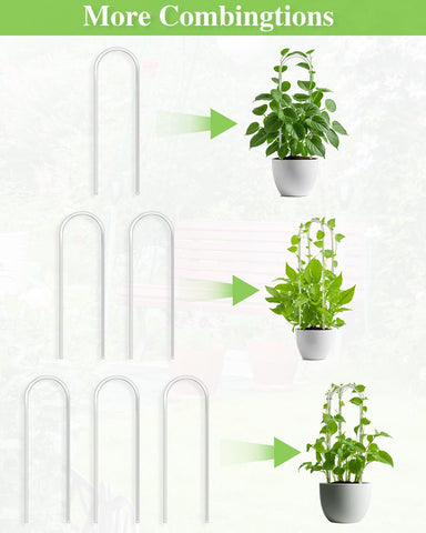 Whtawtaw clear acrylic trellis enhances Hoya growth for potted plants