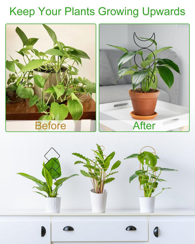 Whtawtaw steel plant trellis with anti-rust coating for indoor/outdoor use