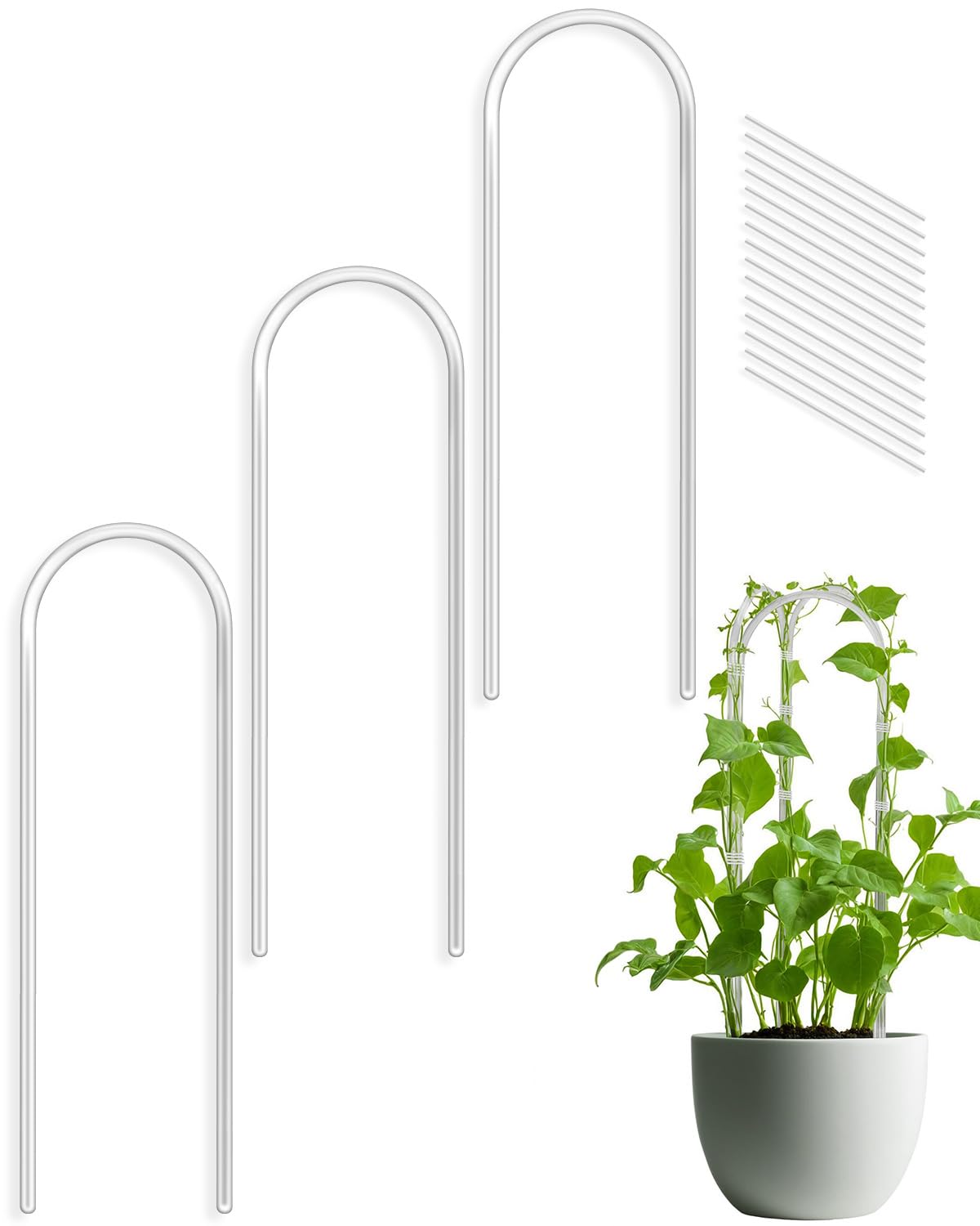 Whtawtaw U-shaped clear acrylic garden trellis supports climbing plants discreetly