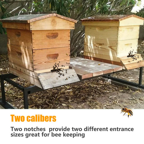 Whumsdog five-pack provides replacements for multiple hives.