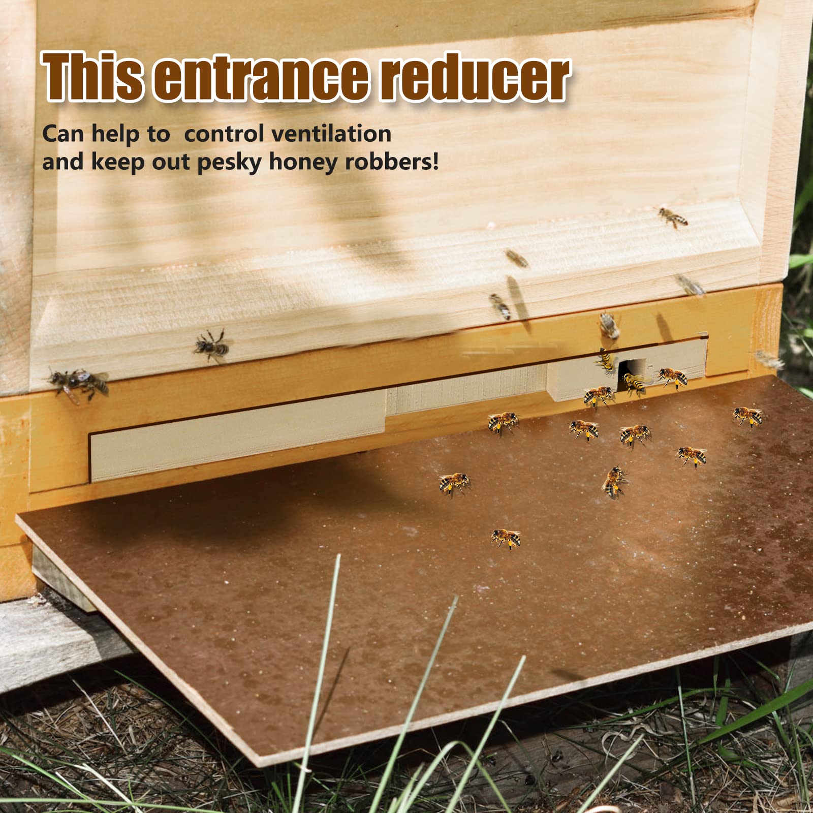 Whumsdog wooden entrance reducer shows durable pine texture and smooth finish.