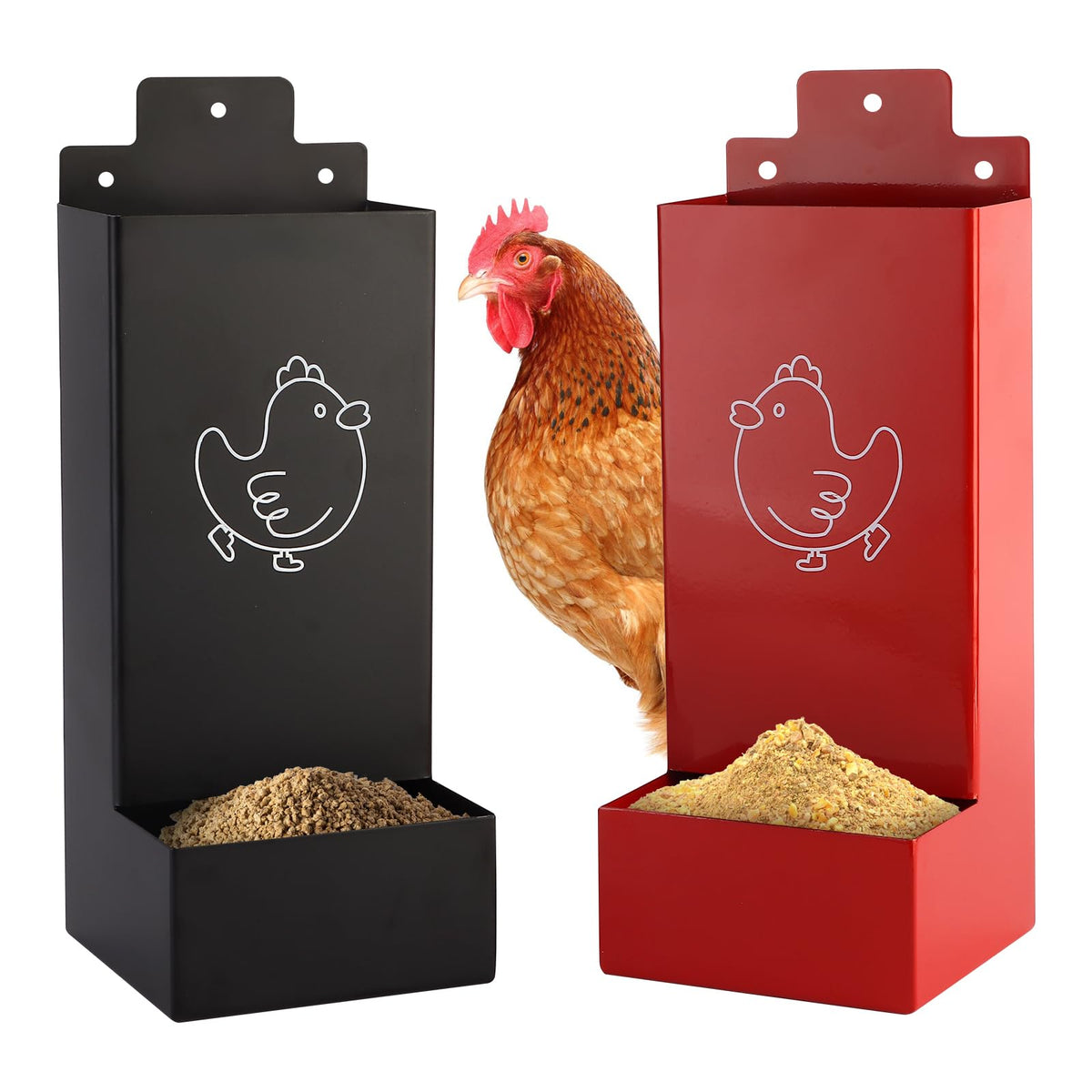 WHXE MNHEE automatic grit feeder mounted in a coop for clean feed access