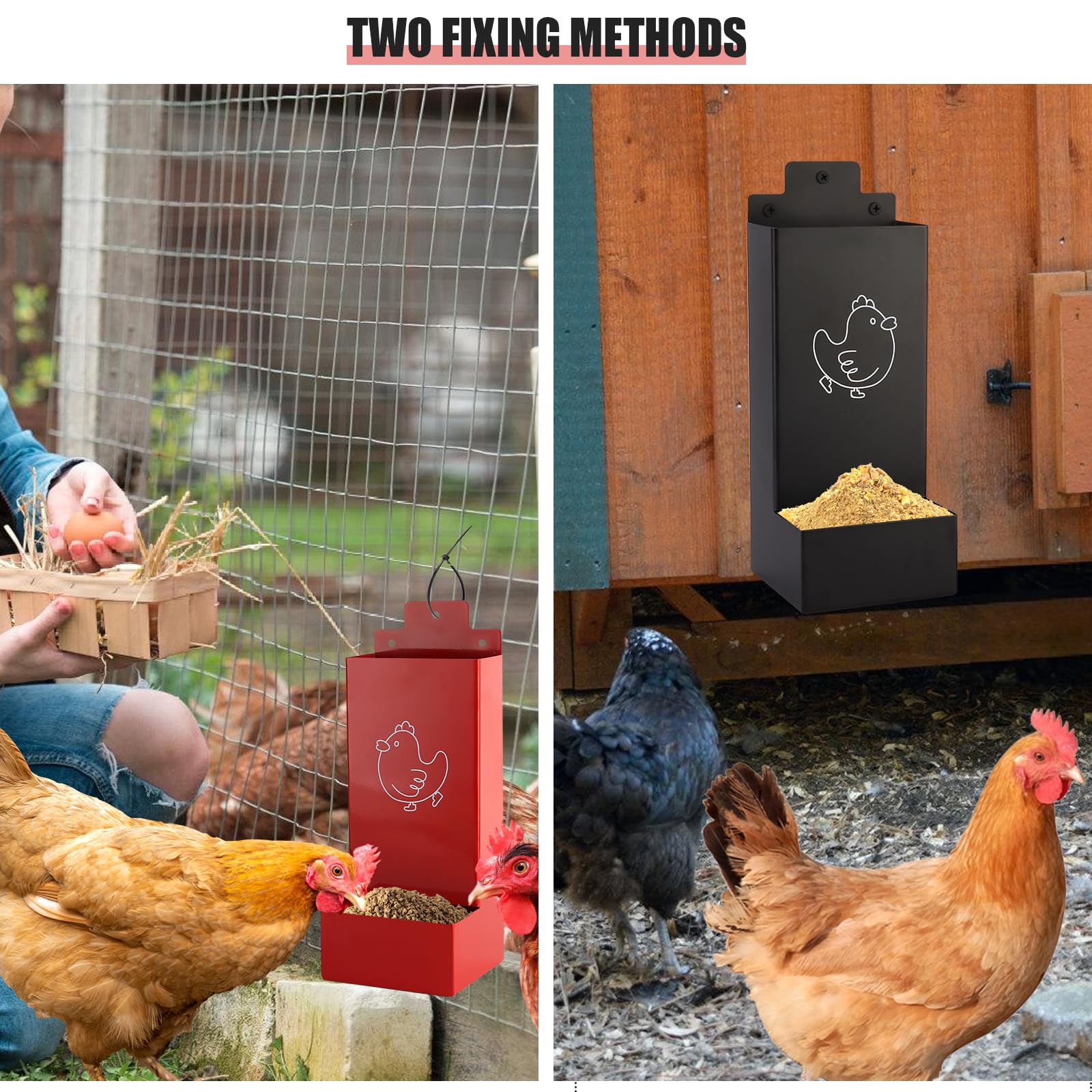 WHXE MNHEE compact feeders fit tight coops while keeping grit accessible